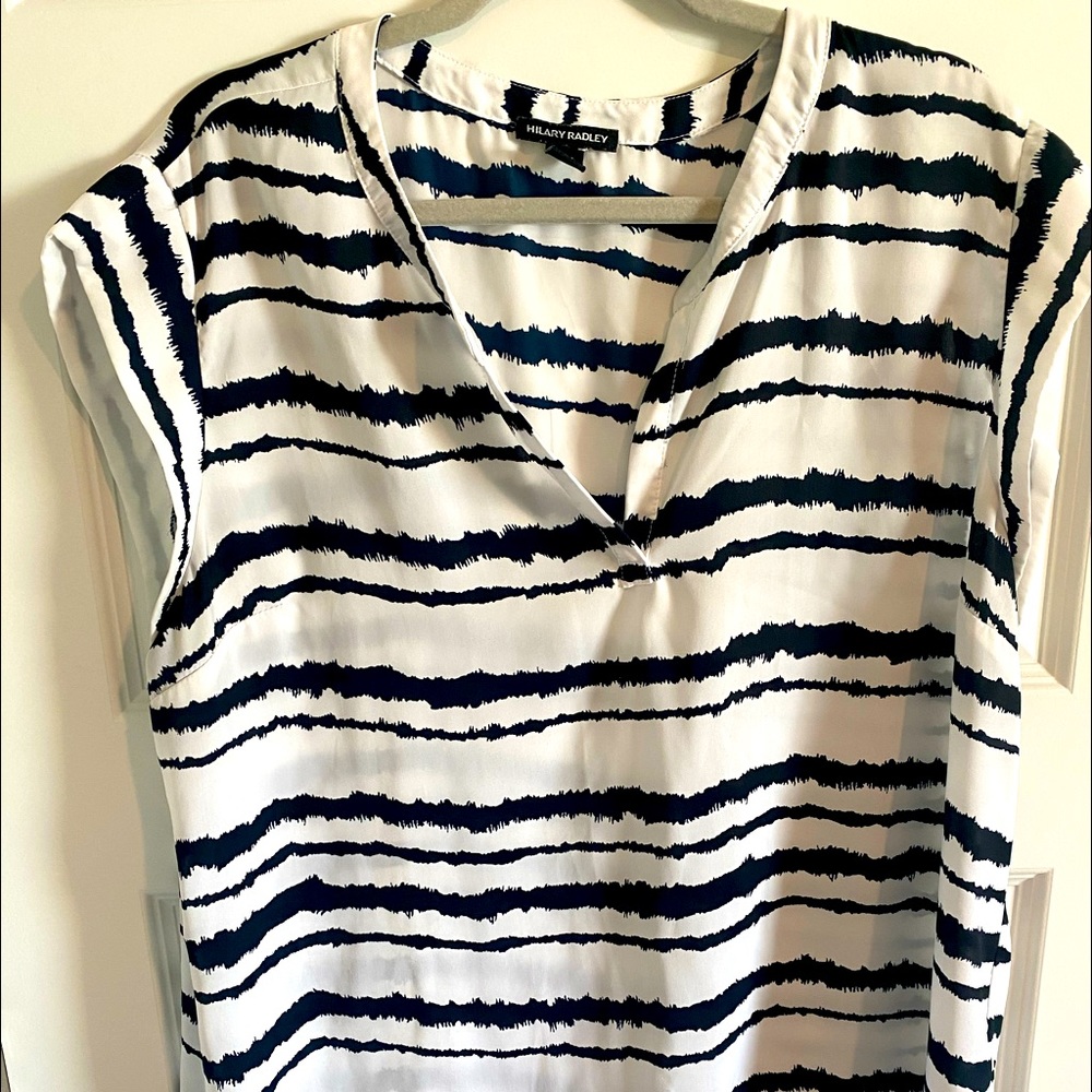 Zebra stripe top